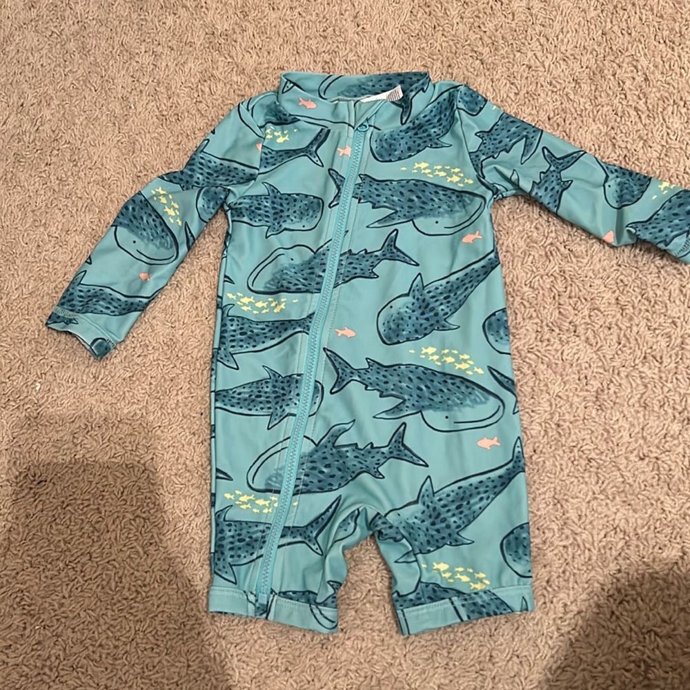 Worn once - 9 month Carter’s swimsuit